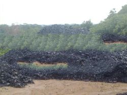 BATU BARA (COAL)