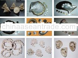 Shell Button Blanks