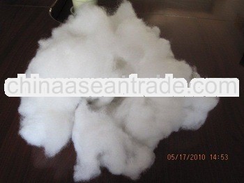 carding virgin polyester fiber grade AAA