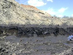 fimes coal