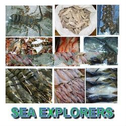 LOBSTERS AND OTHER SEAFOODS