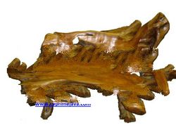 TEAK ROOT BENCH TRB016