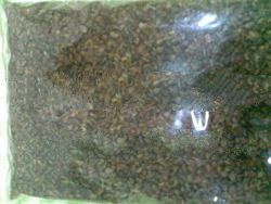 Tartary Buckwheat - www.organic-emall.com