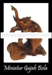 Miniature Elephant Ball