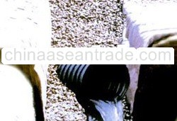 GEOPIPE (PIPA BERLUBANG) (HDPE PERFORATED CORRUGATED PIPE)