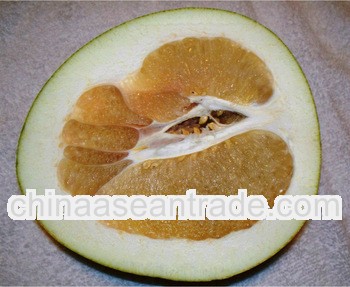 china honey pomelo/sweet pomelo