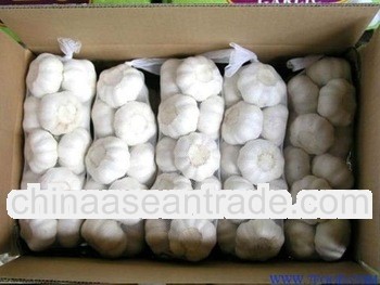 chinese garlic, Pure white garlic 10kg carton