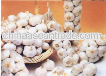 chinese garlic and small packing