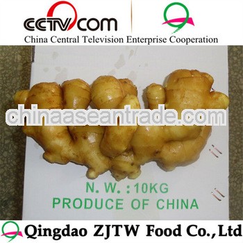 chinese ginger price