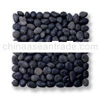 Black Alormosaic pebble