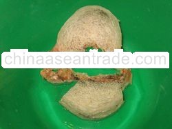 Edible Borneo Bird Nest