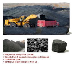 Steam Coal From Kalimantan