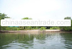 BATAM ISLAND FOR SELL