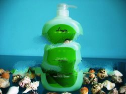 Swine Flu Hygiene Shower Foam 99.9%