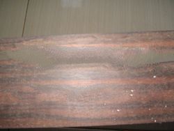 Makassar Ebony Wood