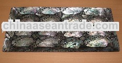 abalone shell tray