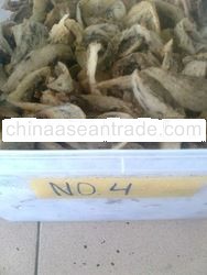 GOMANTONG CAVE BIRD NEST (A4 GRED) FROM SABAH MALAYSIA-PRODUCTION DEC. 2010