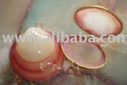 Clam Shell Coin Purse