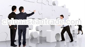 consultant service,consulting