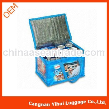 cooler bag,pp woven cooler bag,pp woven ice bag