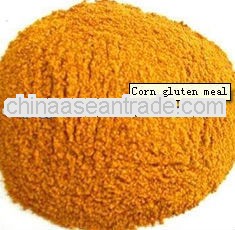 corn gluten meal,corn gluten feed,feed grade