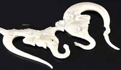 Ear Gauges | Ear Plug | Ear Piercing