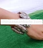 Shell Bracelet