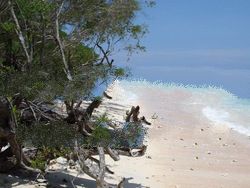 Land On Gili Trawangan / Lombok
