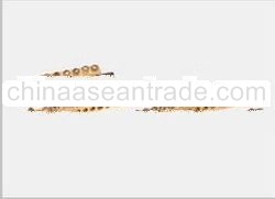 Brass Neutral,Earth & Fuse Bars