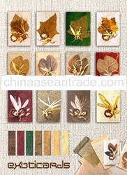 Recycled Paper Greeting Cards