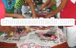 Dagupan Boneless Milkfish