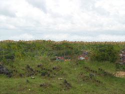 21000 sqm land for sale in Bali, 