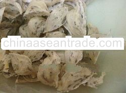 CAMBODIA CAVE BIRD'S NEST