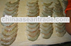 White Head Less Shrimp