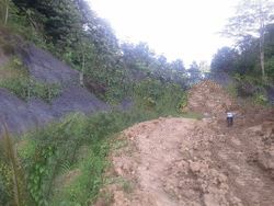 Coal Concession for JV in