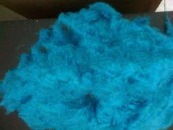 Blue Fiber
