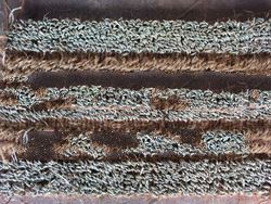 Coir and seagrass Doormat
