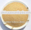 dehydrated 16-26 mesh garlic granules