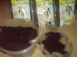 Ground Vanilla Powder