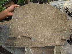 Non-Antacid Thin Slab Random Size Java Brown Wall Mushroom Slate Tile