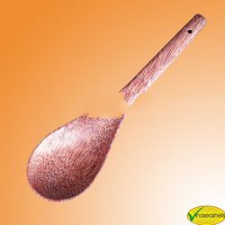 Soup Ladle coconut shell