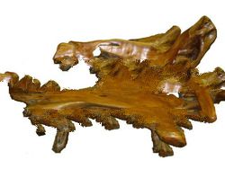 OLD TEAK ROOT BENCH