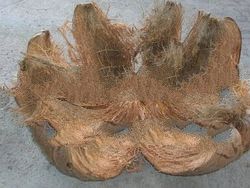 Coconut Husk