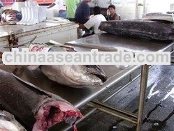 Tuna Yellow Fin Headless
