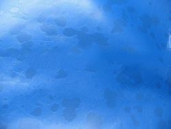 Bulk Good Price Goat Skin Genuine Leather for Shoes