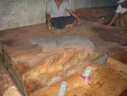 Teak Wood