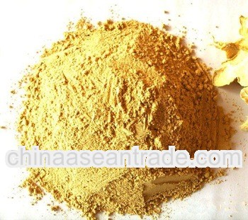 dried ginger powder