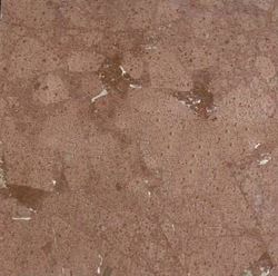 Red Granite Floor Tile: New Imperial Red Granite