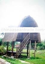 wooden house-ZW-L9A
