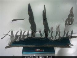 Tomoboo Agarwood